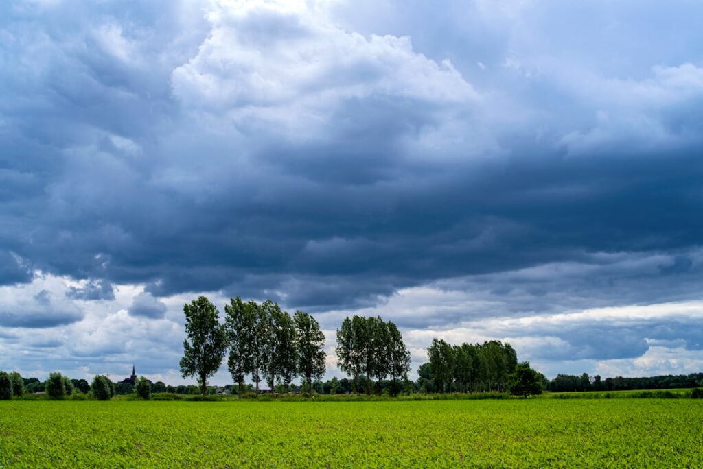 Het weer in Emmen voor de komende 14 dagen